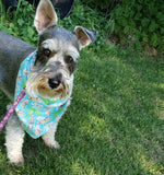 Dog Bandana -Reversible Classic Tie On